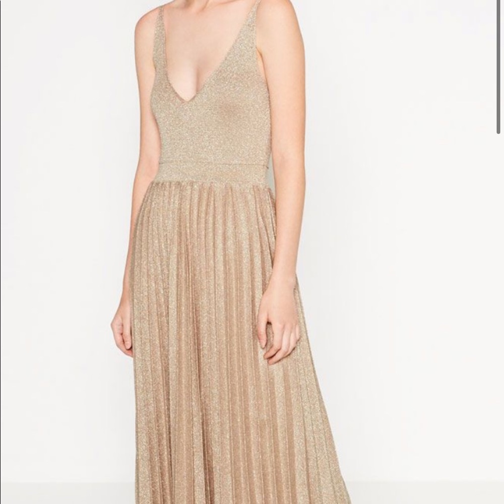 Zara Limited Edition Gold Ballet Dress